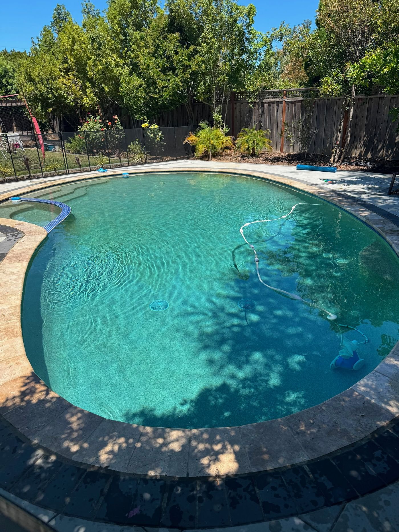 Freeform pool with a robotic cleaner at work, surrounded by palm trees